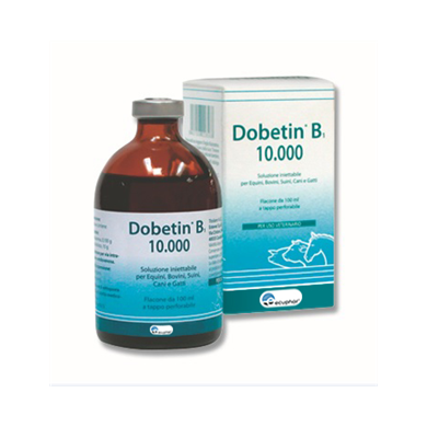 DOBETIN B1*INIET FL 100ML