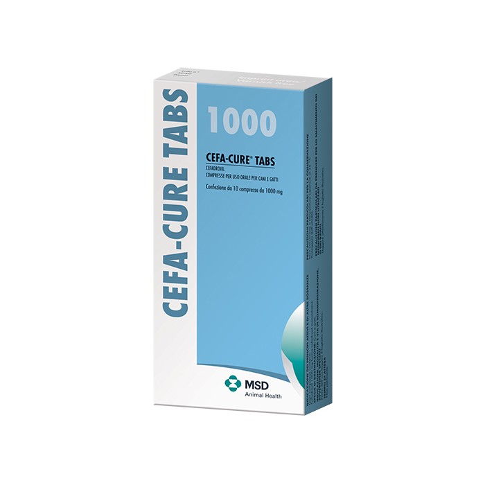 CEFACURE TABS*10CPR 1G
