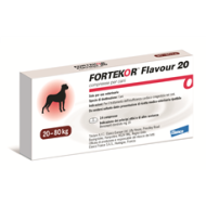 FORTEKOR FLAVOUR*14CPR 20MG