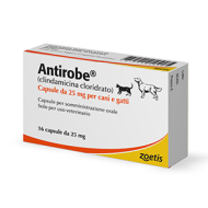 ANTIROBE*16CPS 25MG