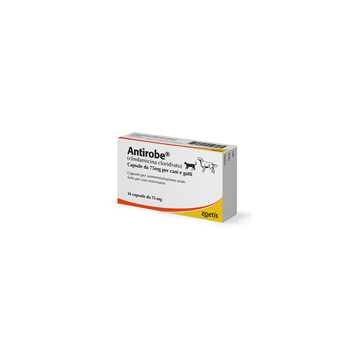 ANTIROBE*16CPS 75MG