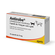 ANTIROBE*16CPS 75MG