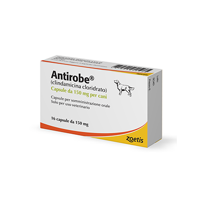 ANTIROBE*16CPS 150MG