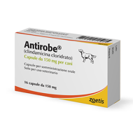 ANTIROBE*16CPS 150MG