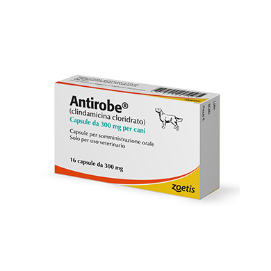ANTIROBE*16CPS 300MG
