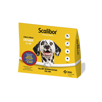 SCALIBOR PROTECTOR BAND*BI65CM