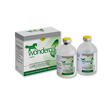 WONDERCEF*FL 4G+FL 80ML EQUINI
