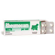 RHEUMOCAM*20CPR MAST 1MG