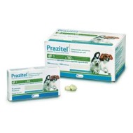 PRAZITEL*104CPR