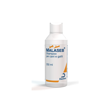 MALASEB SHAMPOO*FL 250ML