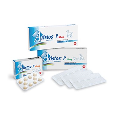 ARISTOS P*10CPR 10MG