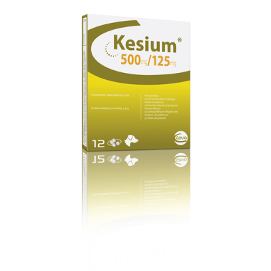 KESIUM*12CPR MAST 500MG+125MG