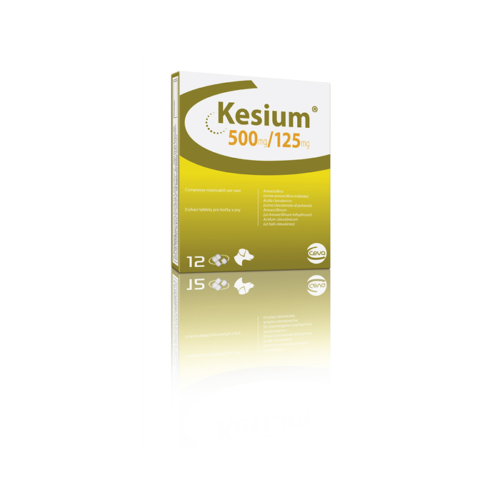 KESIUM*12CPR MAST 500MG+125MG