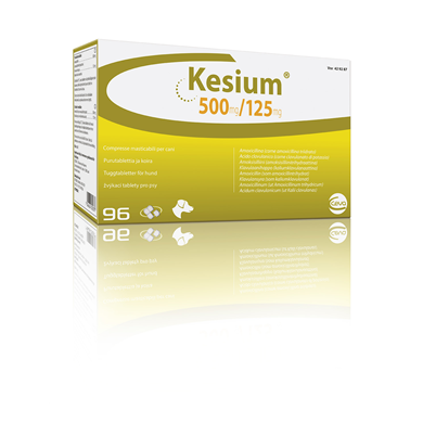 KESIUM*96CPR 500MG+125MG