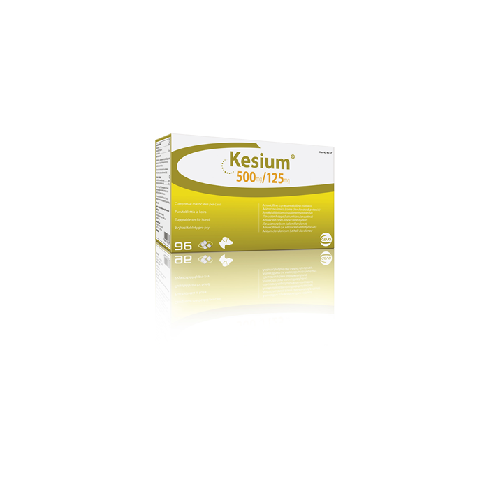 KESIUM*96CPR 500MG+125MG