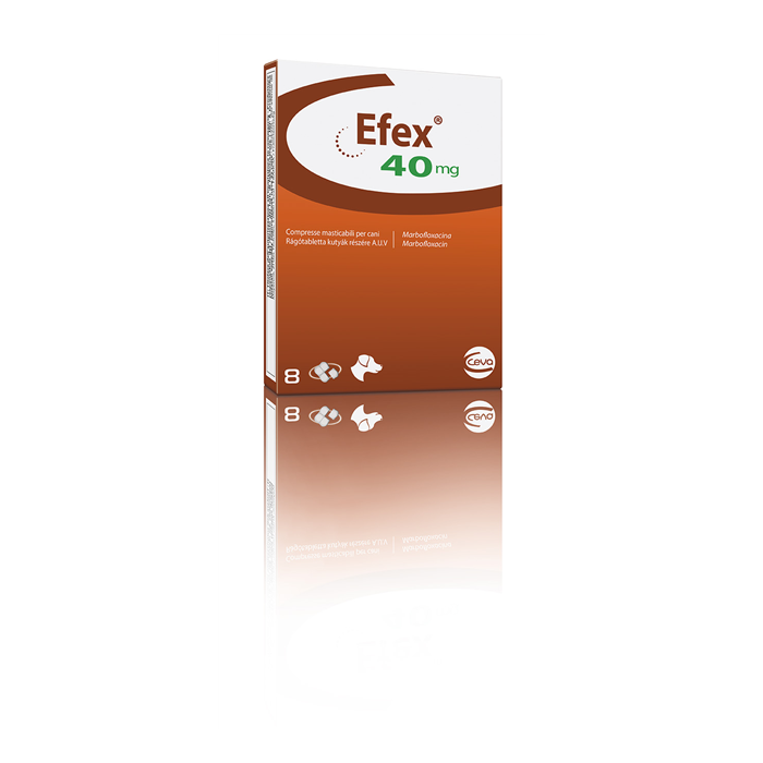 EFEX*8CPR MAST 40MG