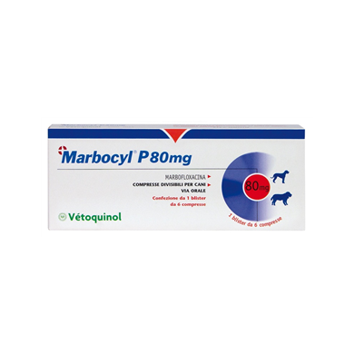 MARBOCYL P*6CPR 80MG