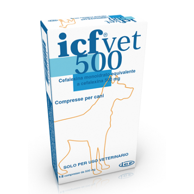 ICFVET*12CPR 500MG