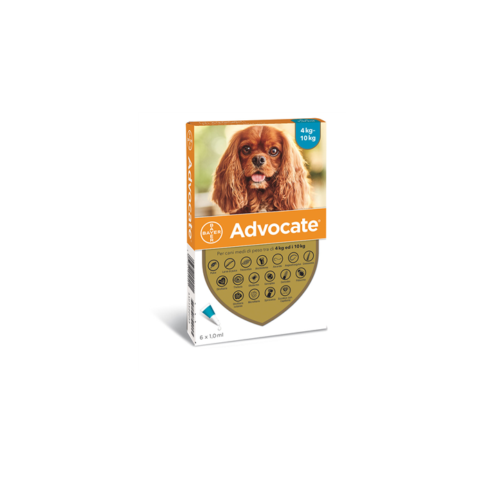 ADVOCATE SP*6PIP 4-10KG CANI