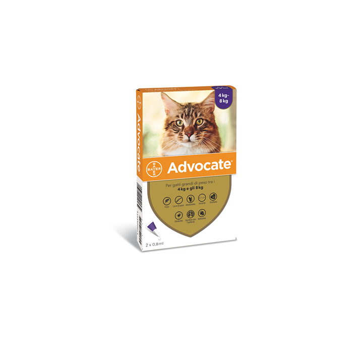ADVOCATE SP*2PIP 4-8KG GATTI