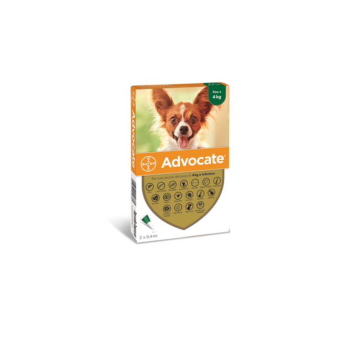 ADVOCATE SP*2PIP 4KG CANI