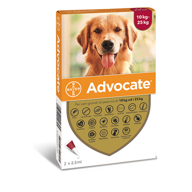 ADVOCATE SP*2PIP 10-25KG CANI