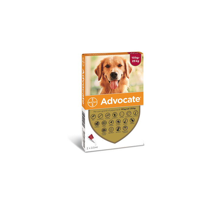 ADVOCATE SP*2PIP 10-25KG CANI
