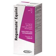 REGUMATE EQUINI*OS FL 1000ML