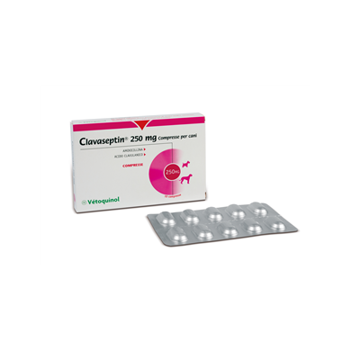 CLAVASEPTIN*10CPR 250MG