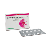 CLAVASEPTIN*10CPR 250MG