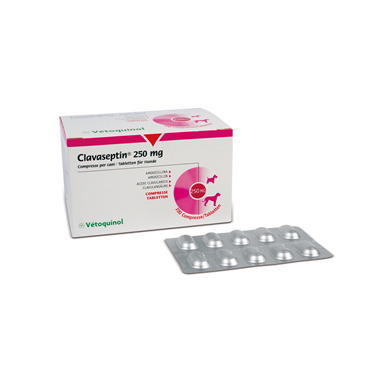CLAVASEPTIN*100CPR 250MG