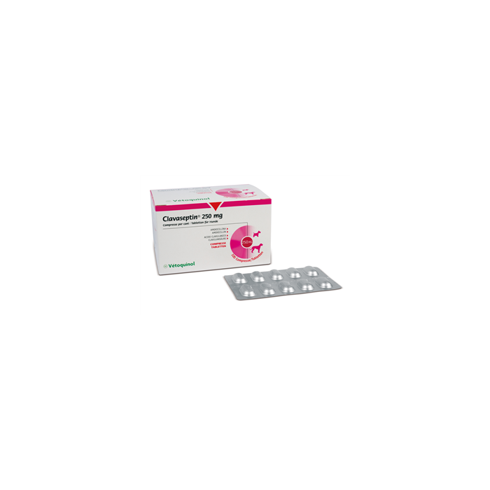 CLAVASEPTIN*100CPR 250MG