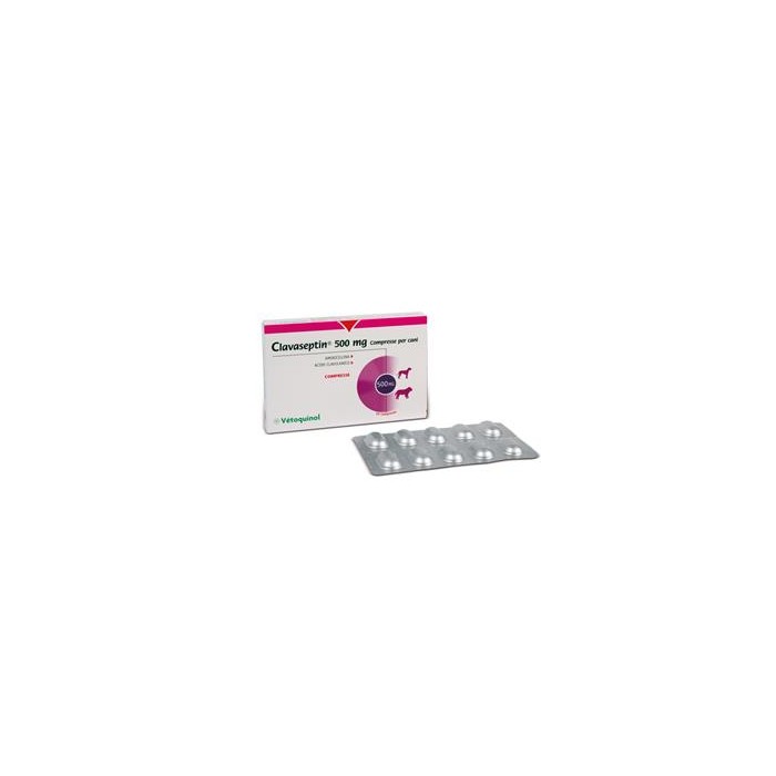 CLAVASEPTIN*10CPR 500MG