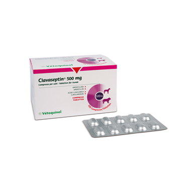 CLAVASEPTIN*100CPR 500MG
