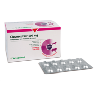 CLAVASEPTIN*100CPR 500MG