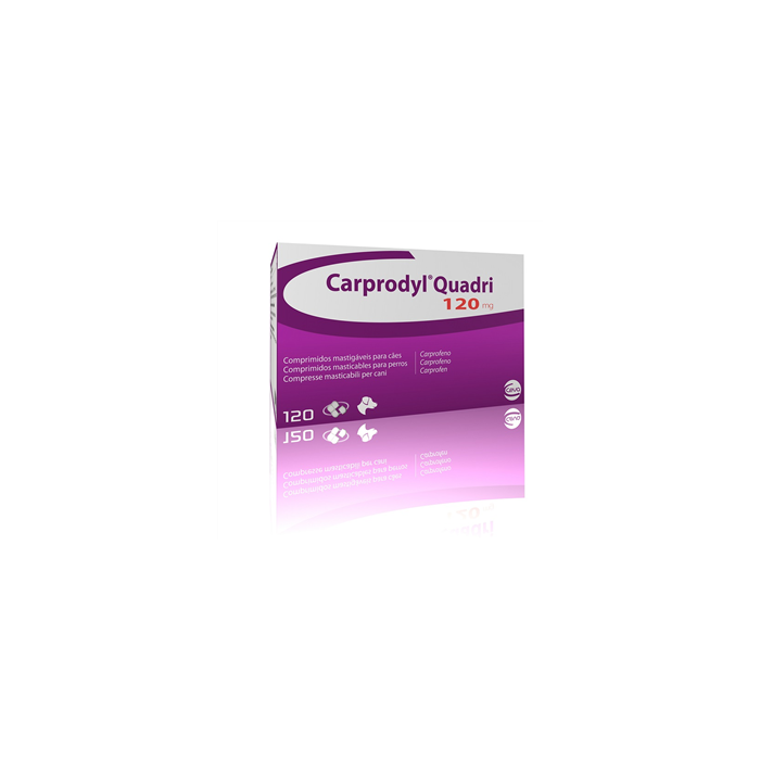 CARPRODYL QUADRI*120CPR 120MG