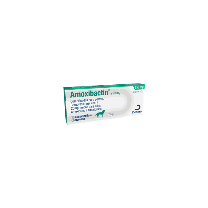AMOXIBACTIN*10CPR 250MG