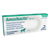 AMOXIBACTIN*10CPR 250MG