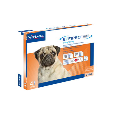 EFFIPRO DUO*4PIP 2-10KG CANI