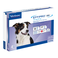 EFFIPRO DUO*4PIP 10-20KG CANI