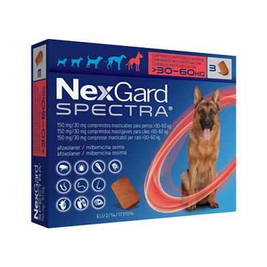 NEXGARD SPECTRA*30-60KG 3CPR