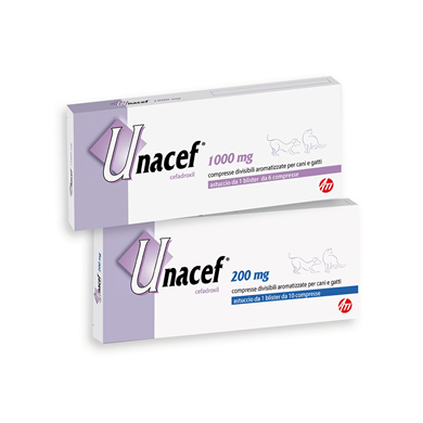 UNACEF*10CPR DIV 200MG