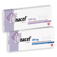 UNACEF*10CPR DIV 200MG