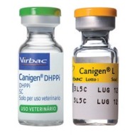 CANIGEN DHPPI/L*50F 1D+50F