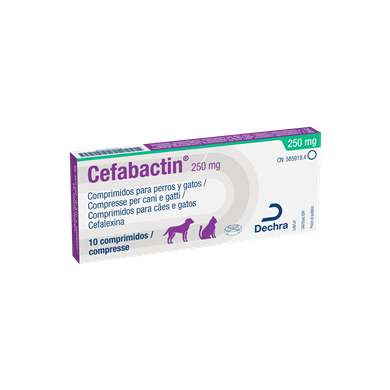 CEFABACTIN*10CPR 250MG