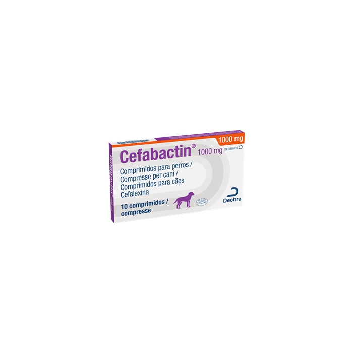 CEFABACTIN*10CPR 1000MG