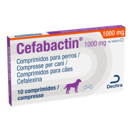 CEFABACTIN*10CPR 1000MG