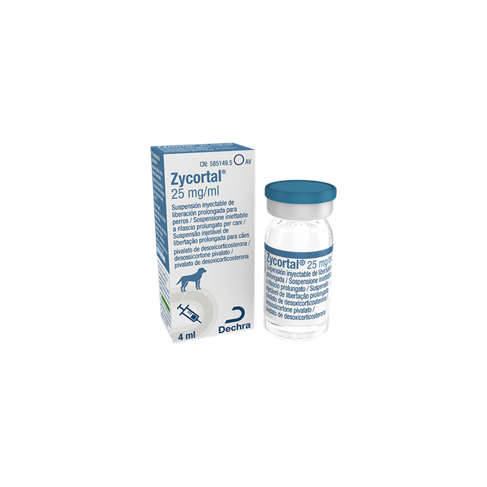 ZYCORTAL*INIET 4ML 25MG/ML RP