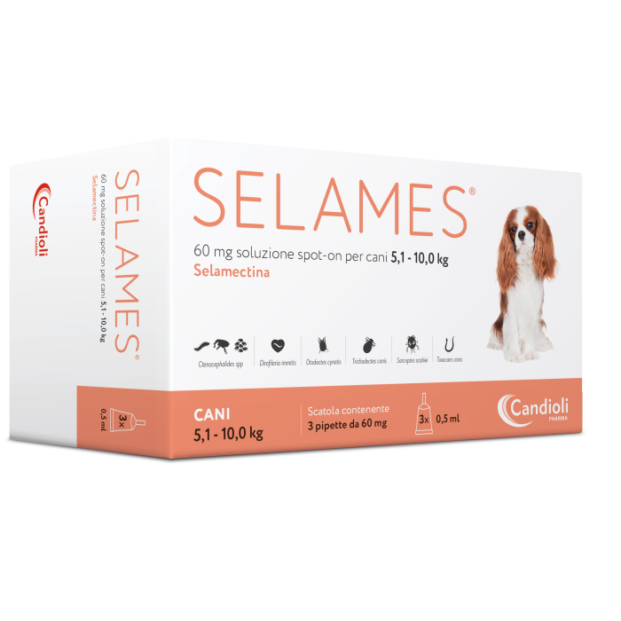SELAMES*3PIP 5,1-10KG CANI
