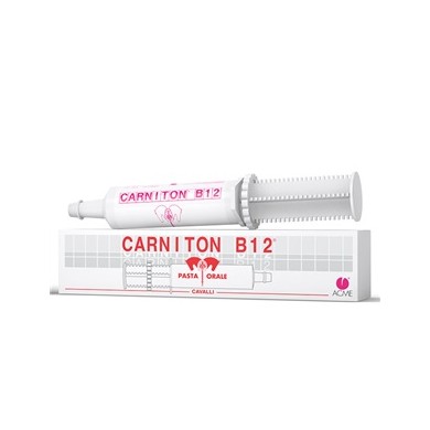CARNITON B 12 PASTA SIRINGA